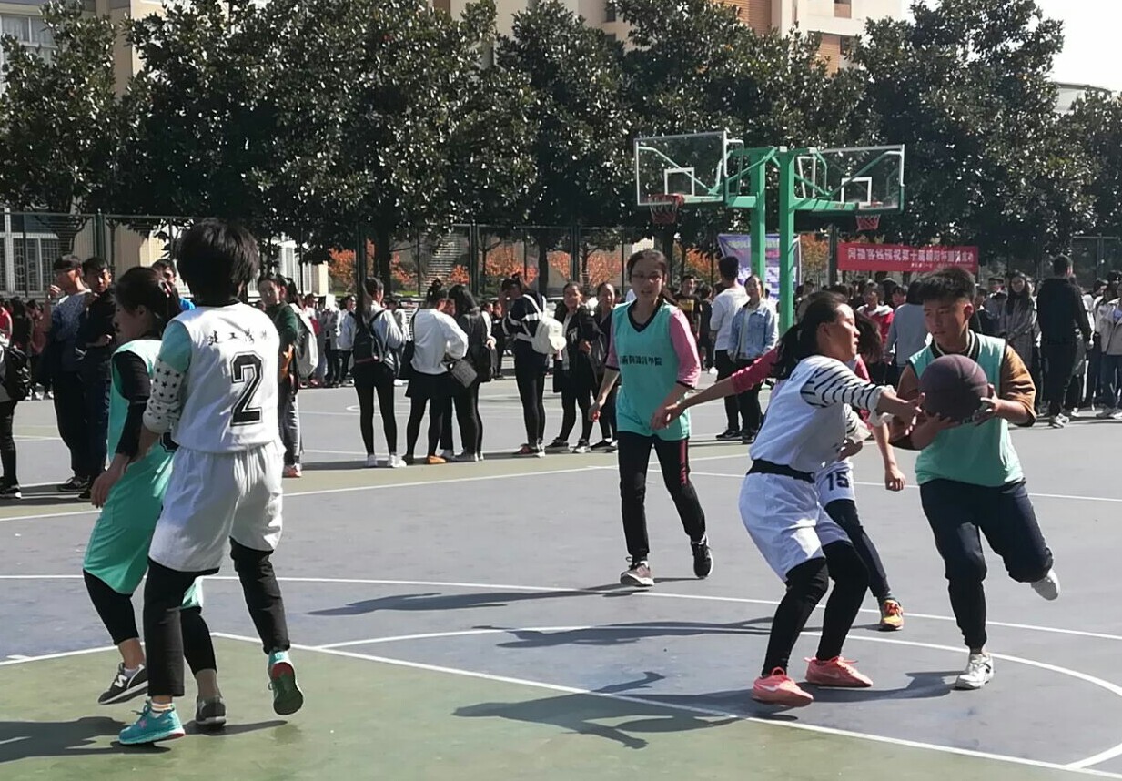 crown皇冠体育平台