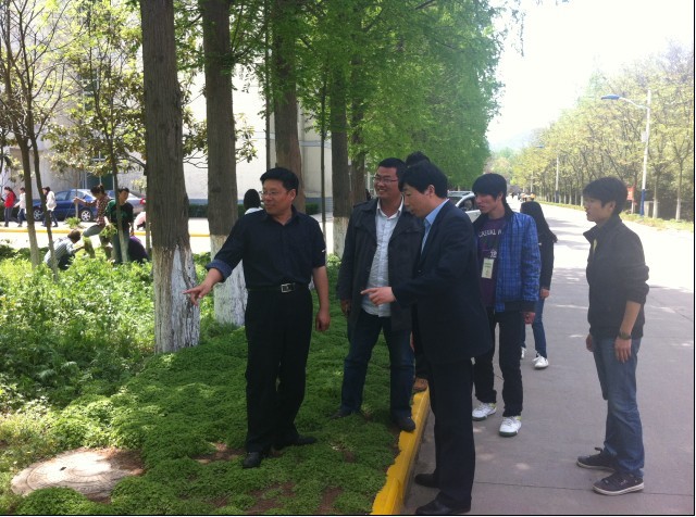 crown皇冠体育平台