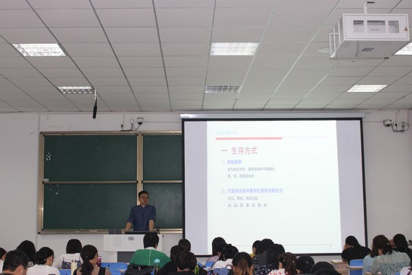 crown皇冠体育平台