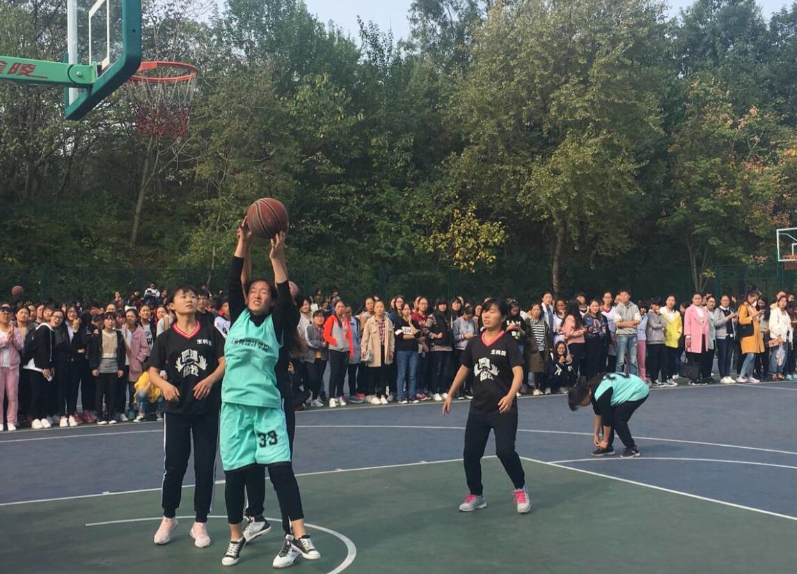 crown皇冠体育平台