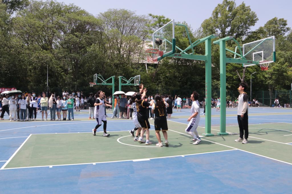 crown皇冠体育平台