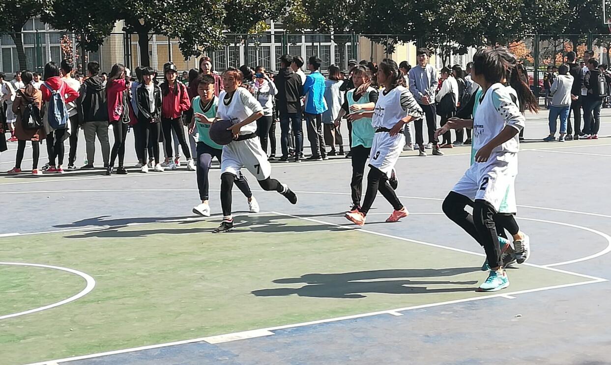 crown皇冠体育平台