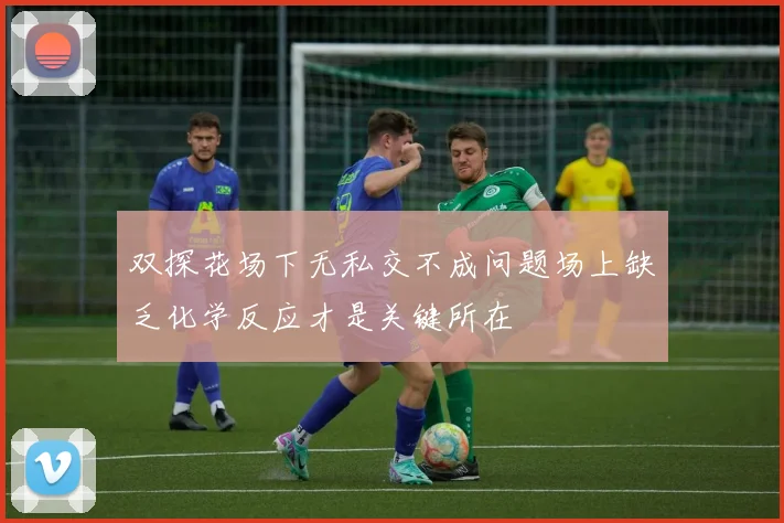 双探花场下无私交不成问题场上缺乏化学反应才是关键所在