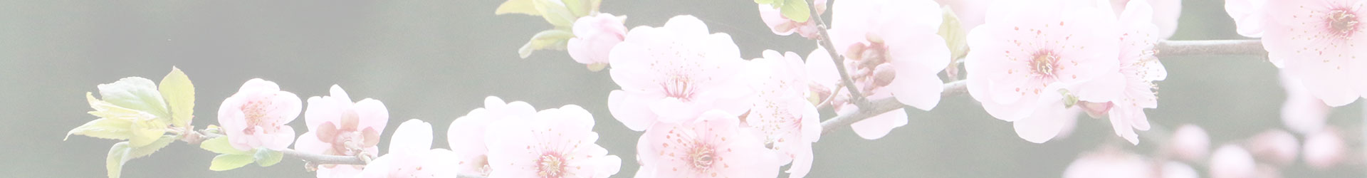 crown皇冠体育平台